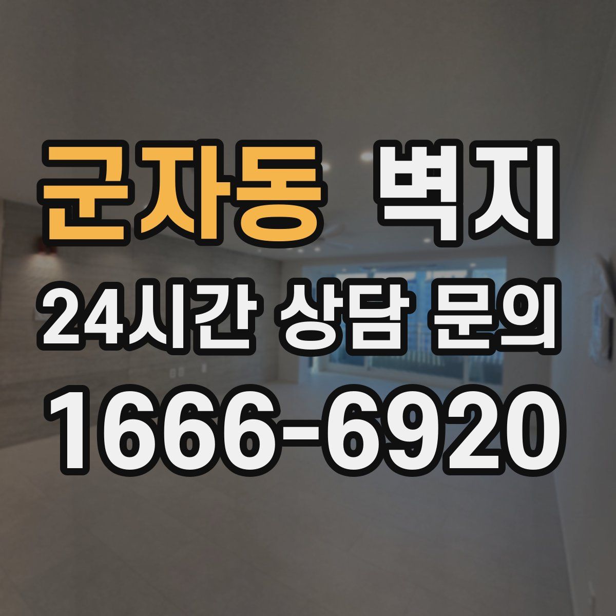 군자동 벽지