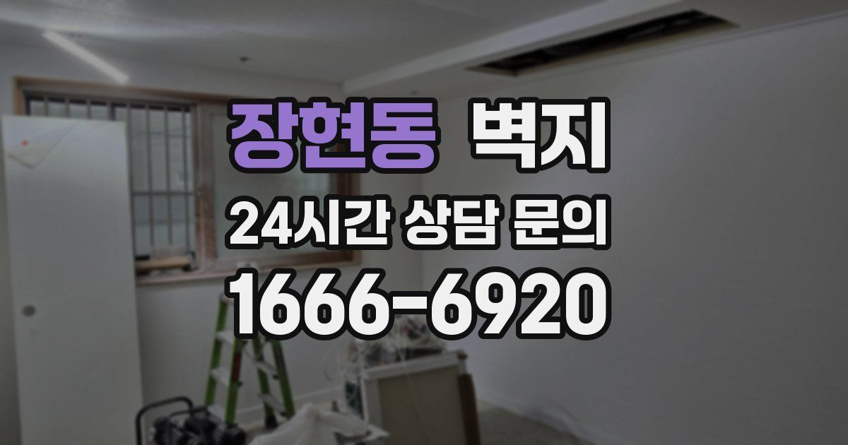 장현동 벽지