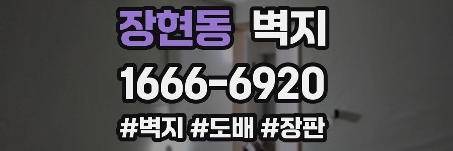 장현동 벽지