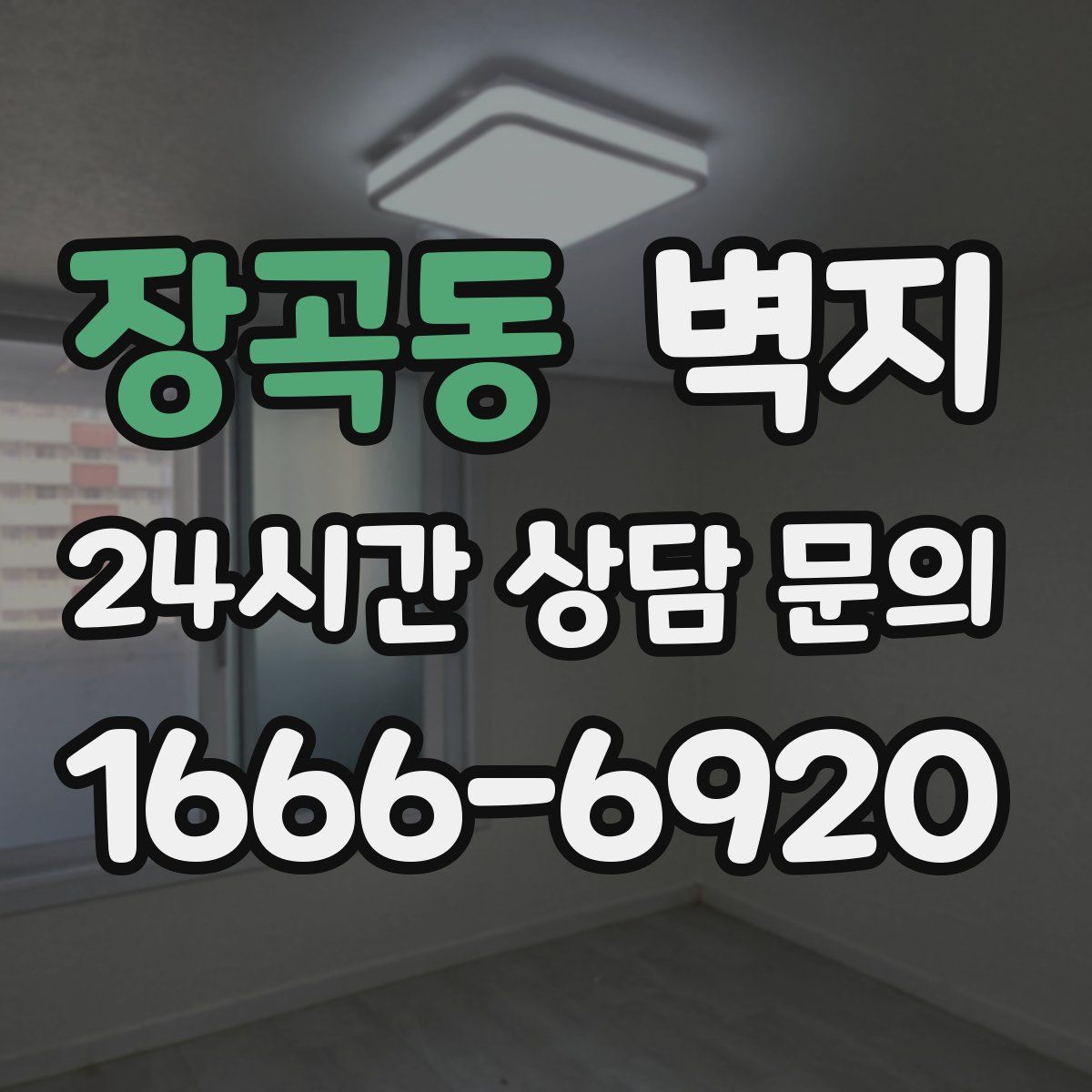 장곡동 벽지