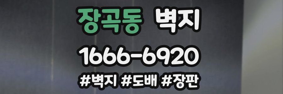 장곡동 벽지