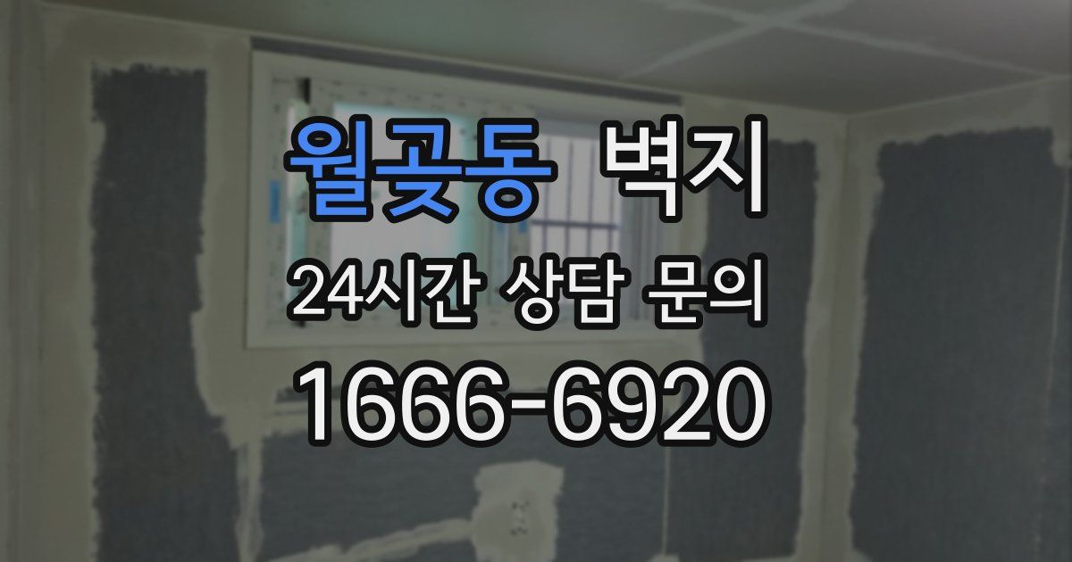 월곶동 벽지