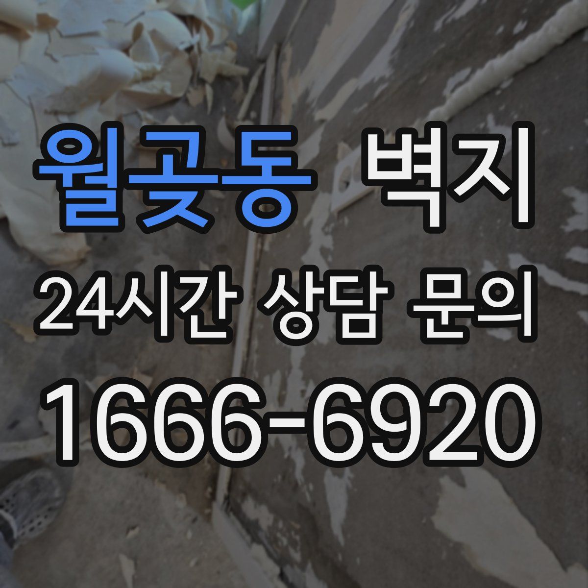 월곶동 벽지