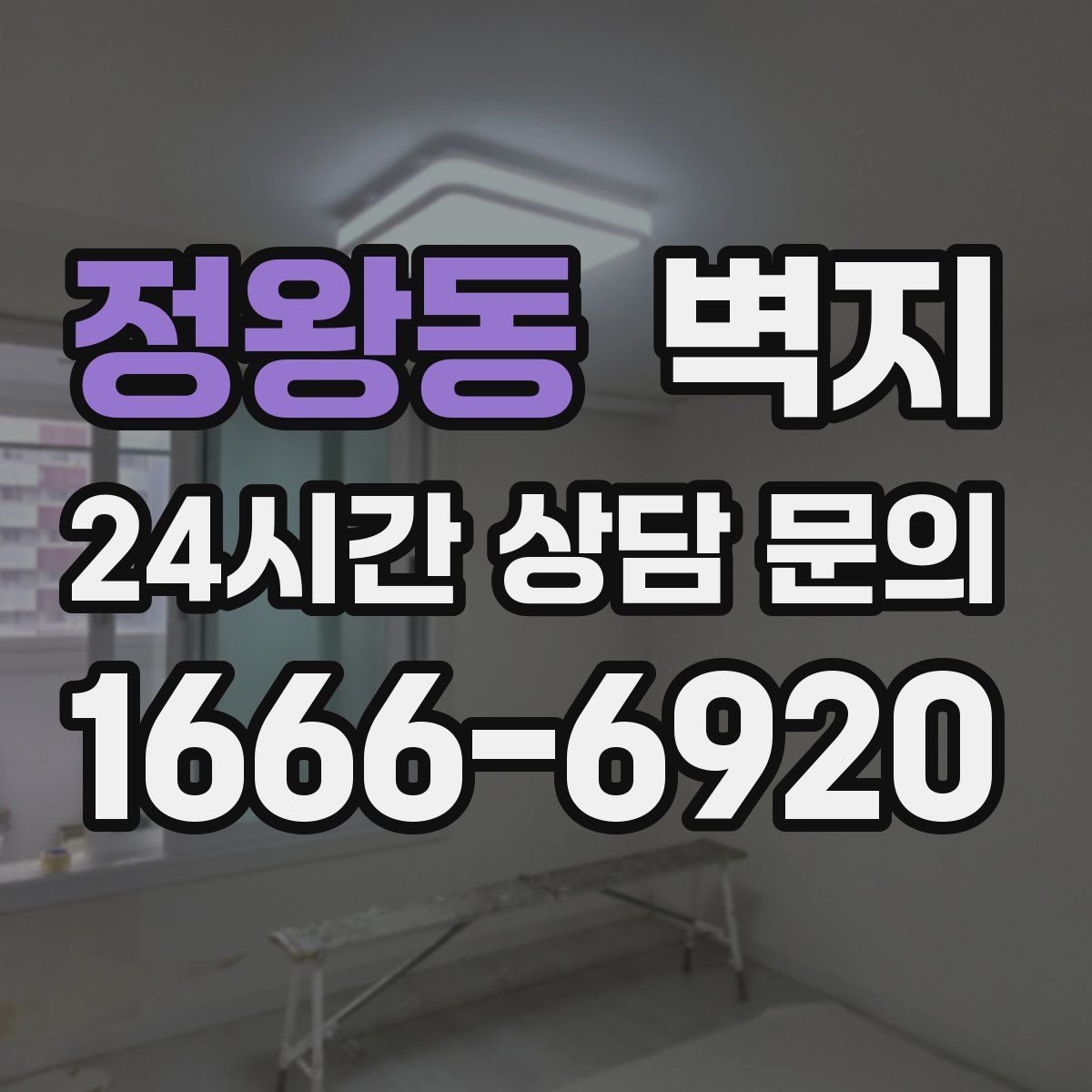 정왕동 벽지
