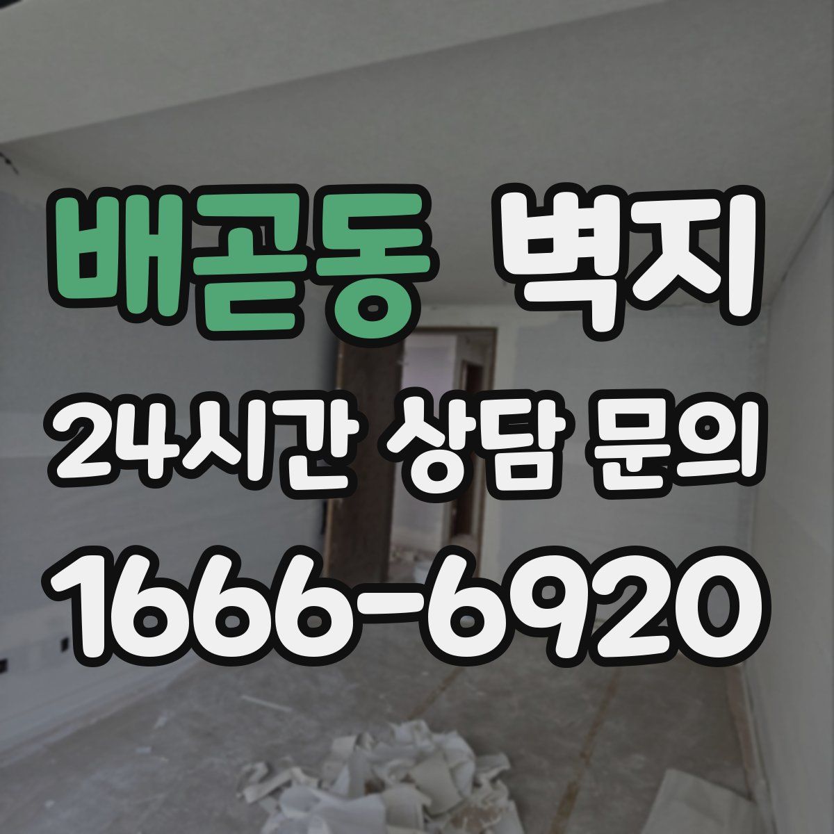 배곧동 벽지