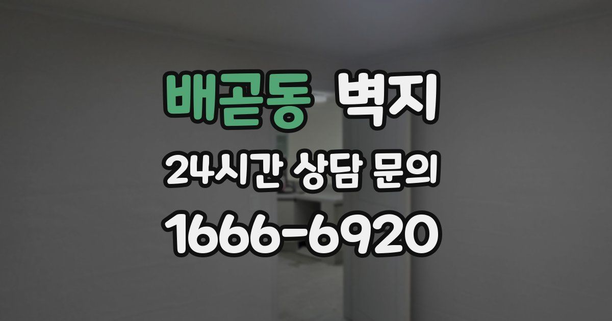 배곧동 벽지