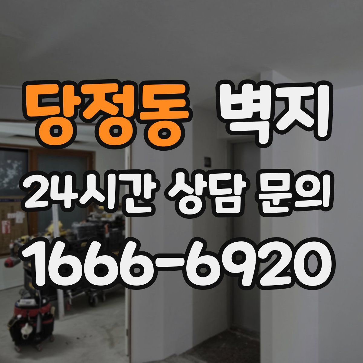 당정동 벽지