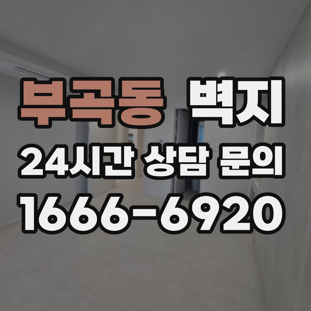 부곡동 벽지