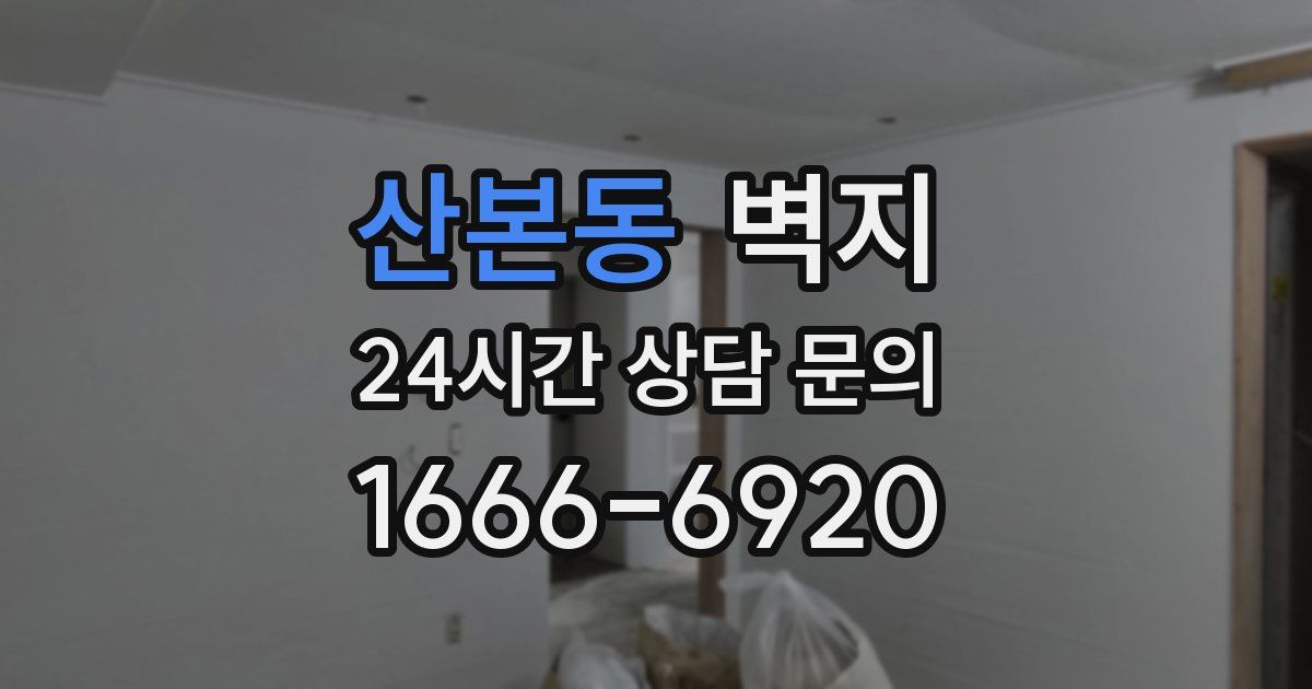 산본동 벽지