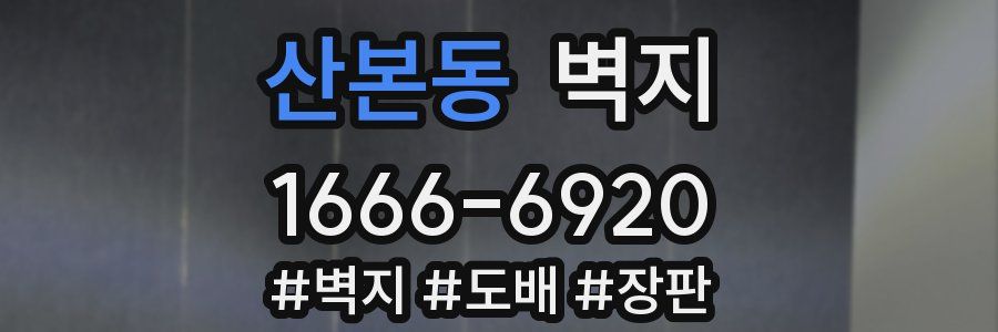 산본동 벽지