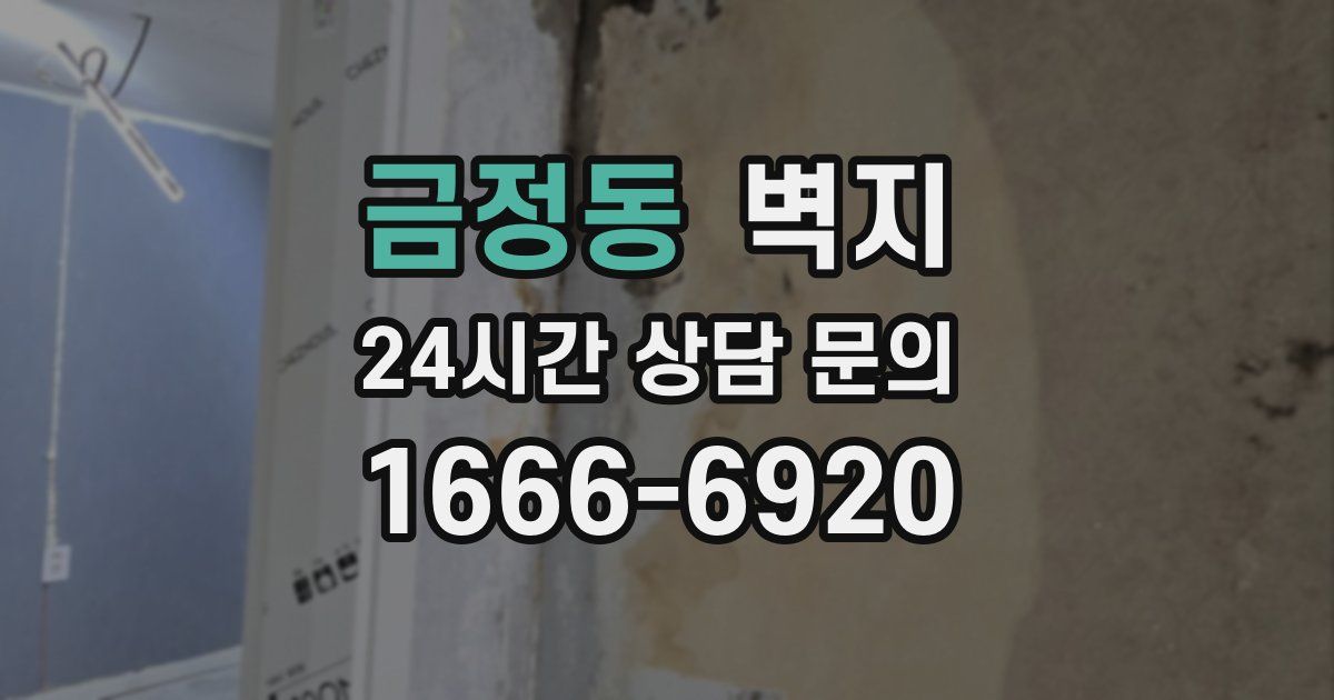 금정동 벽지