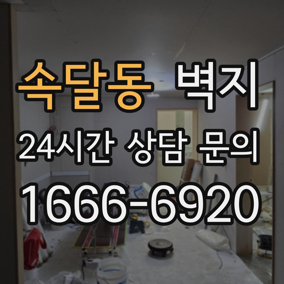 속달동 벽지