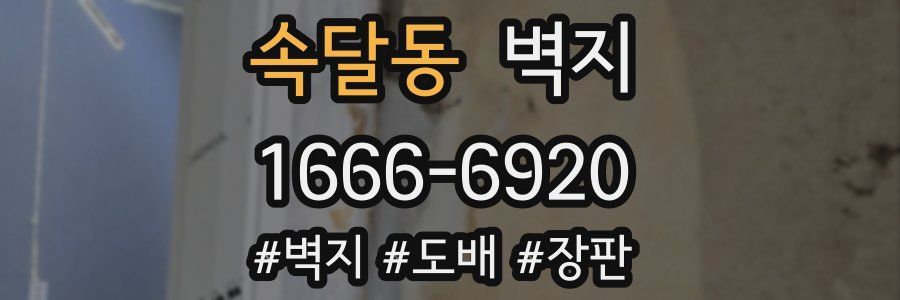 속달동 벽지