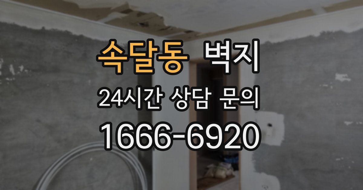 속달동 벽지