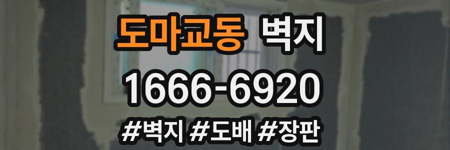 도마교동 벽지