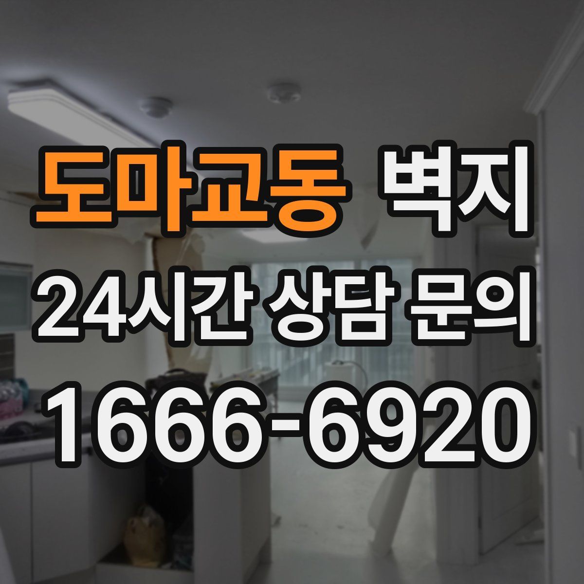 도마교동 벽지