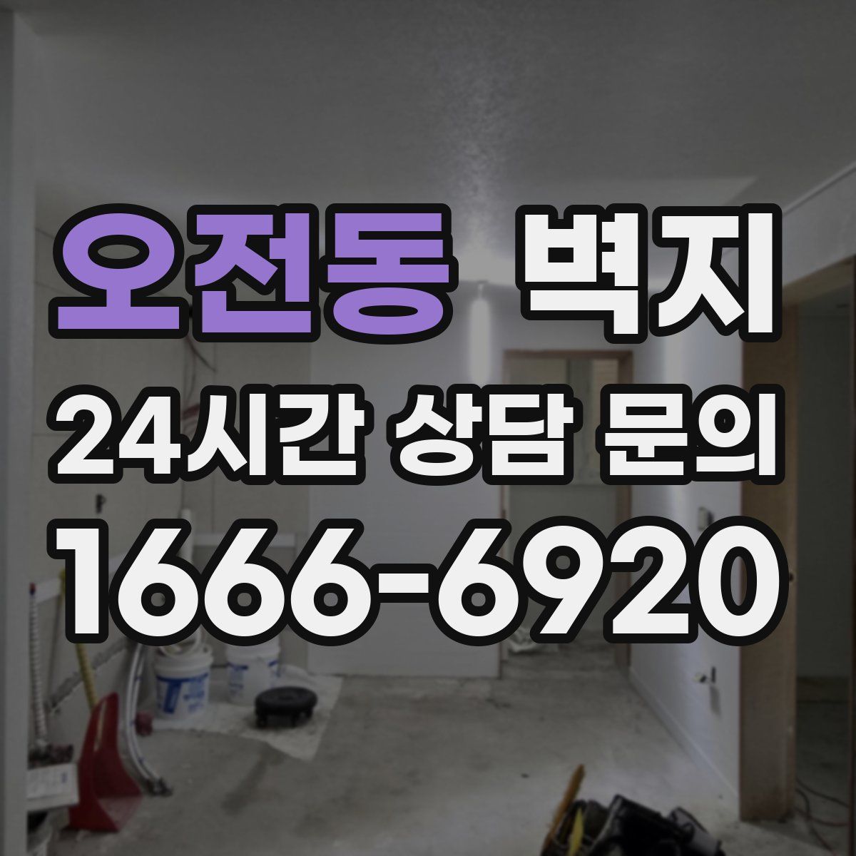 오전동 벽지