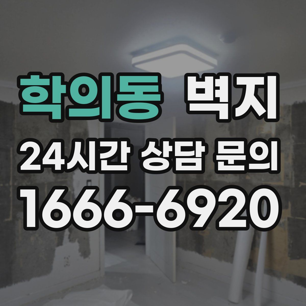 학의동 벽지