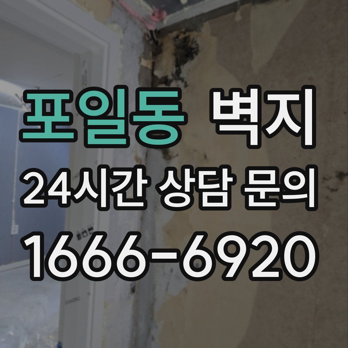 포일동 벽지