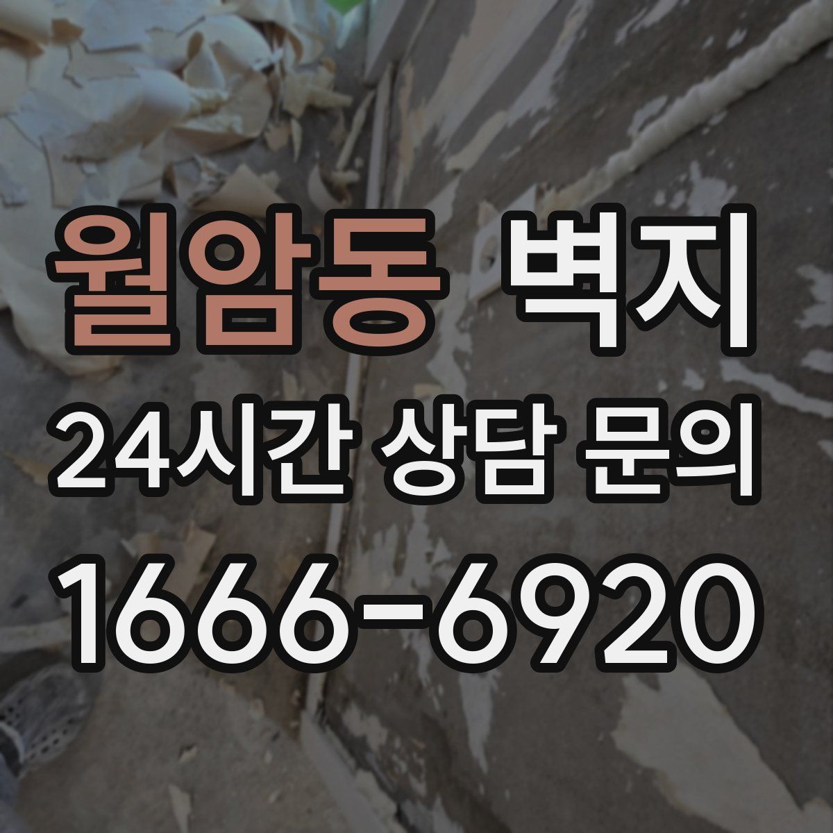 월암동 벽지