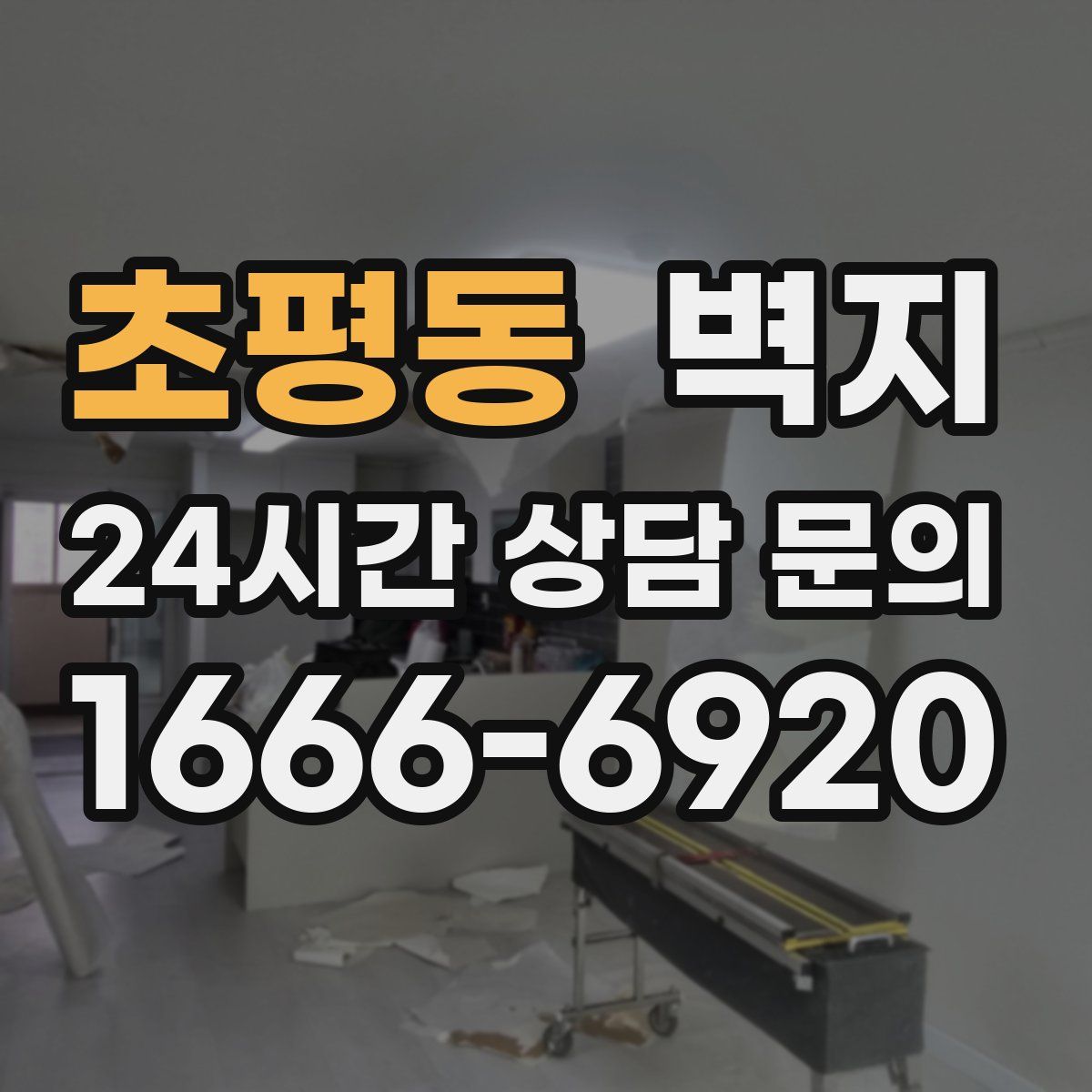 초평동 벽지
