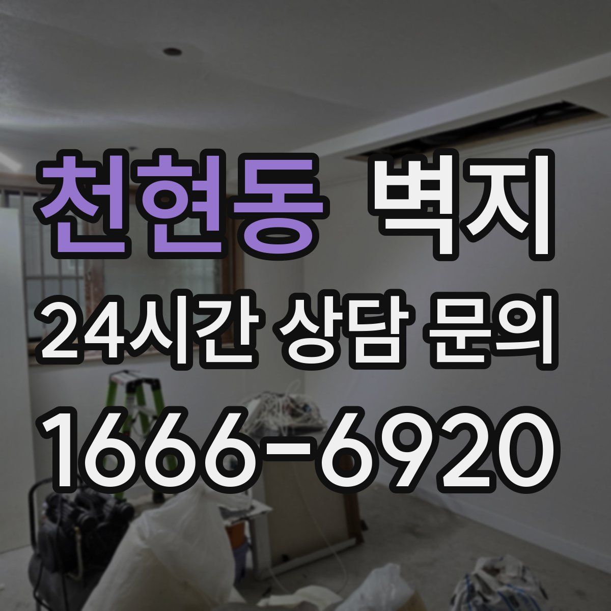 천현동 벽지