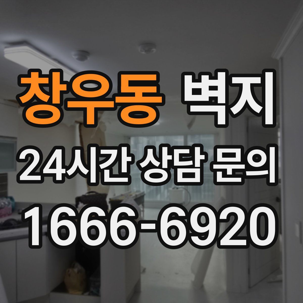 창우동 벽지