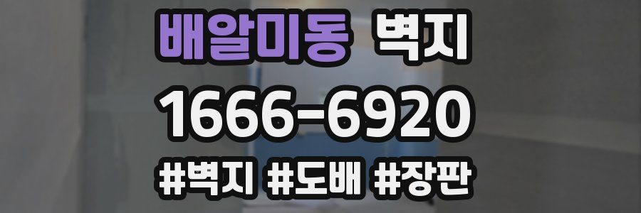 배알미동 벽지