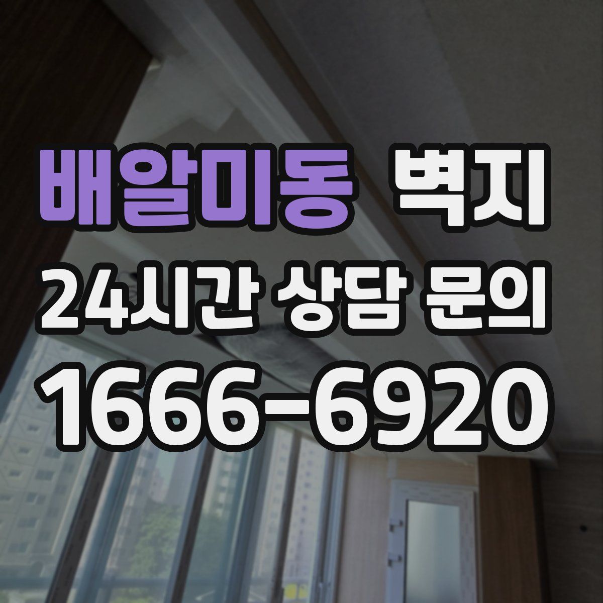 배알미동 벽지