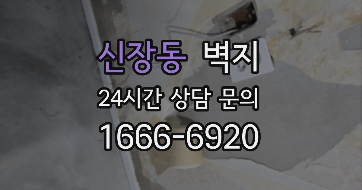 신장동 벽지