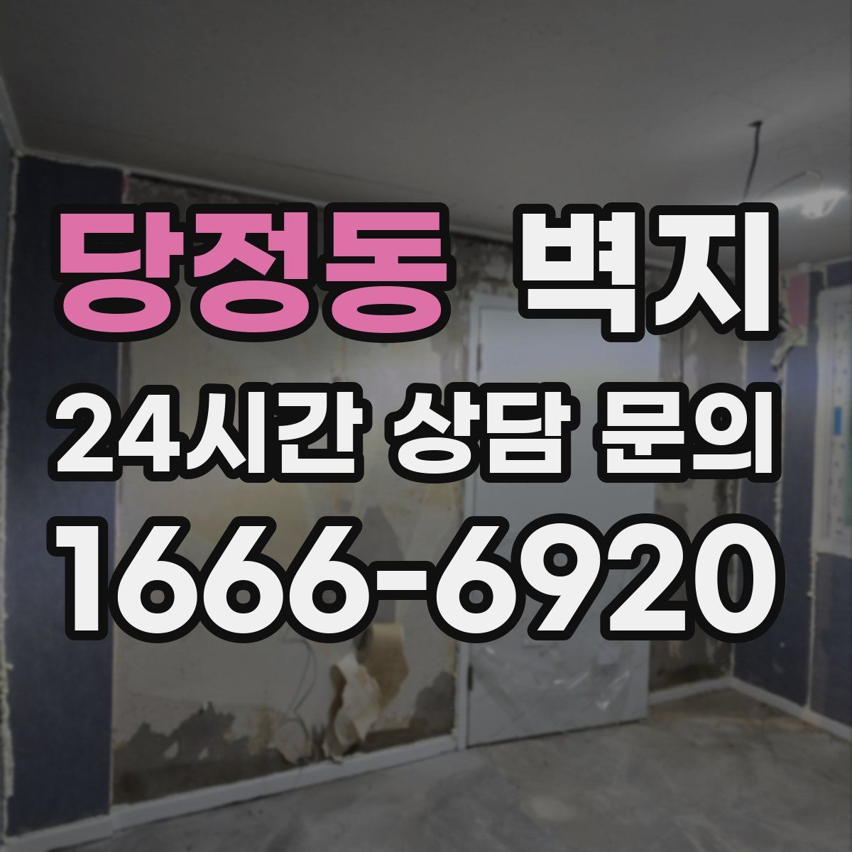 당정동 벽지
