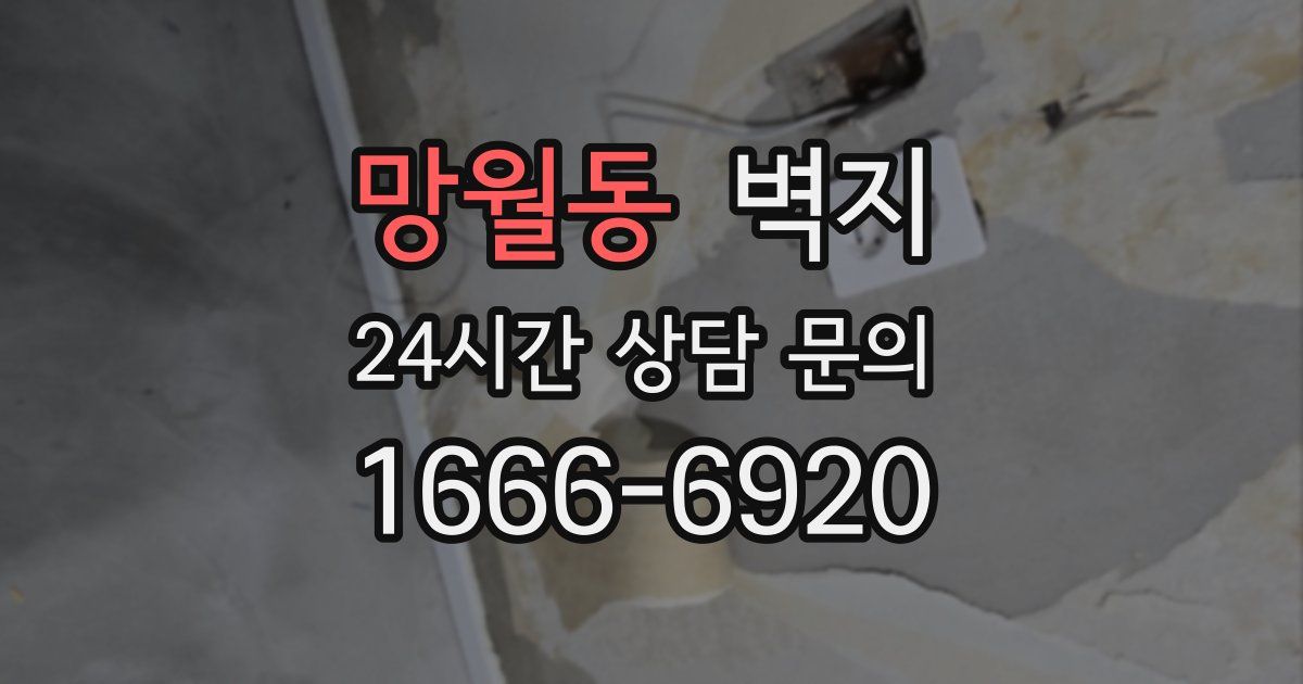 망월동 벽지