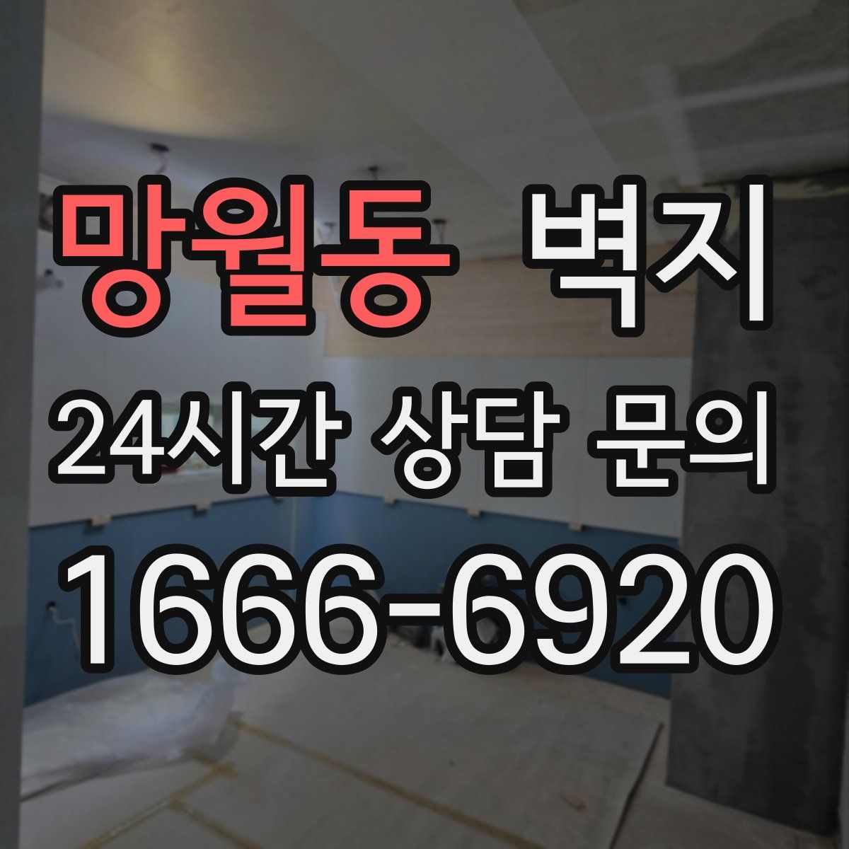 망월동 벽지