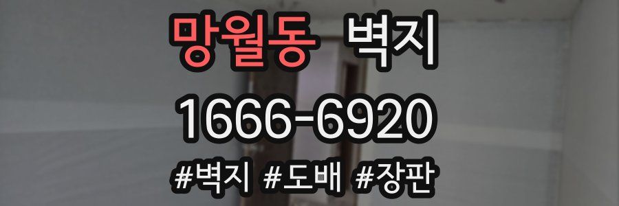 망월동 벽지