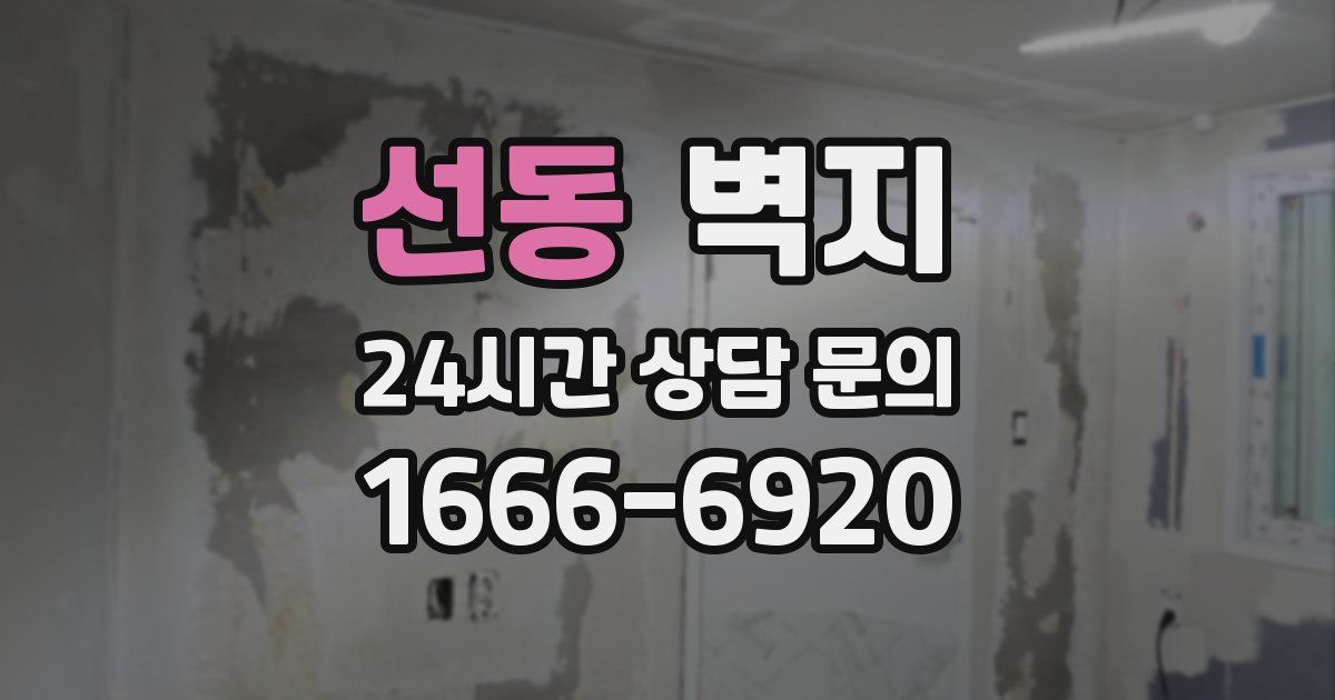 선동 벽지