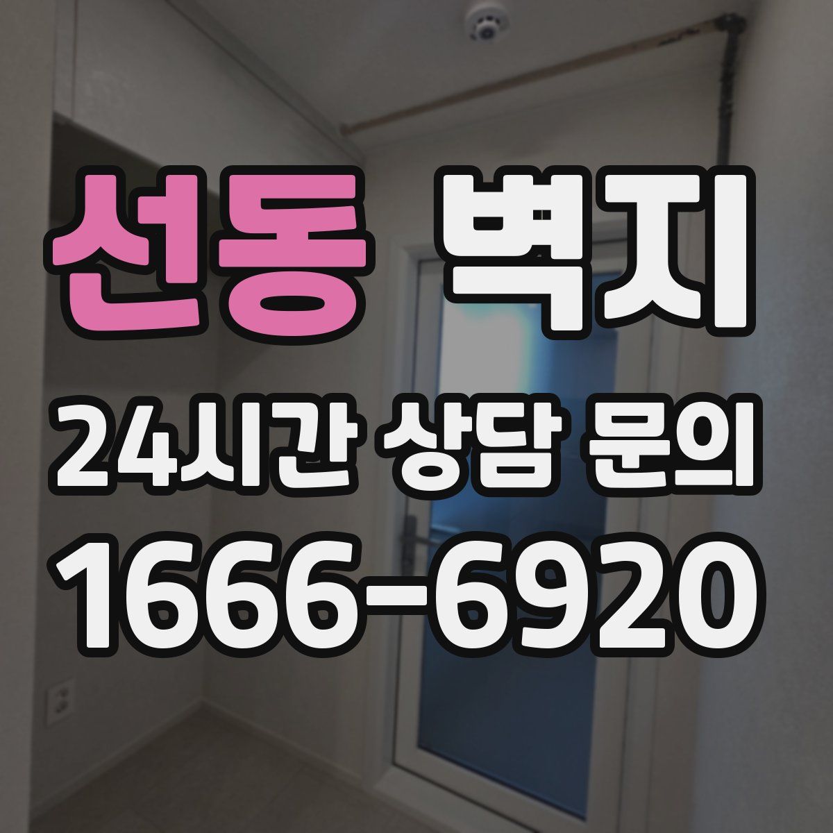 선동 벽지