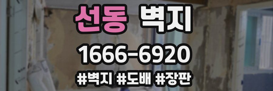 선동 벽지