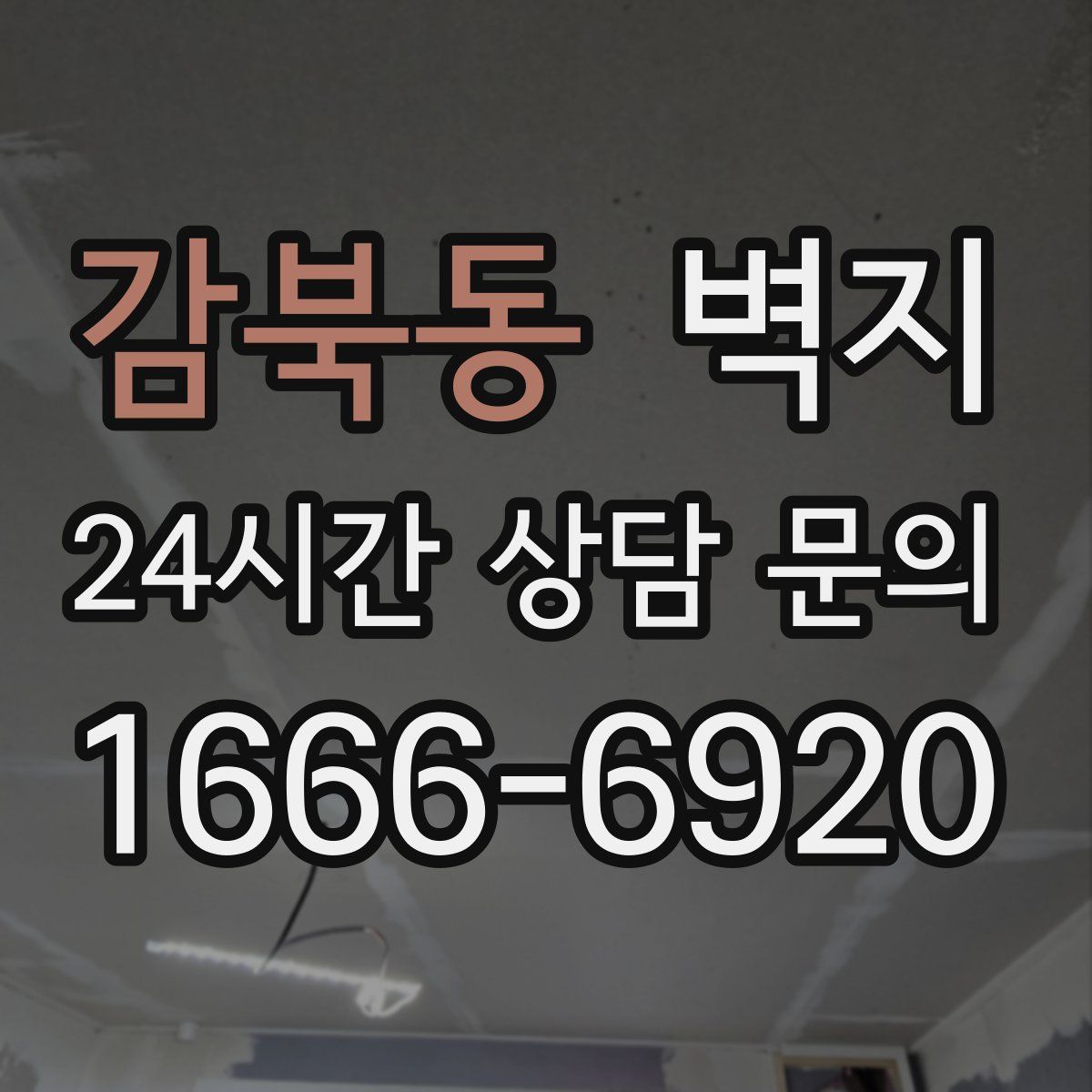감북동 벽지