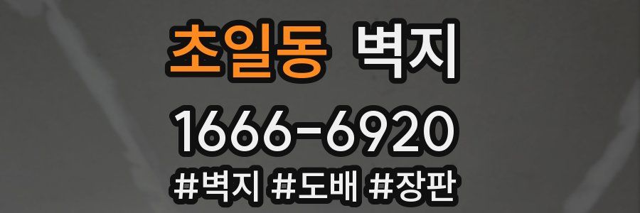 초일동 벽지
