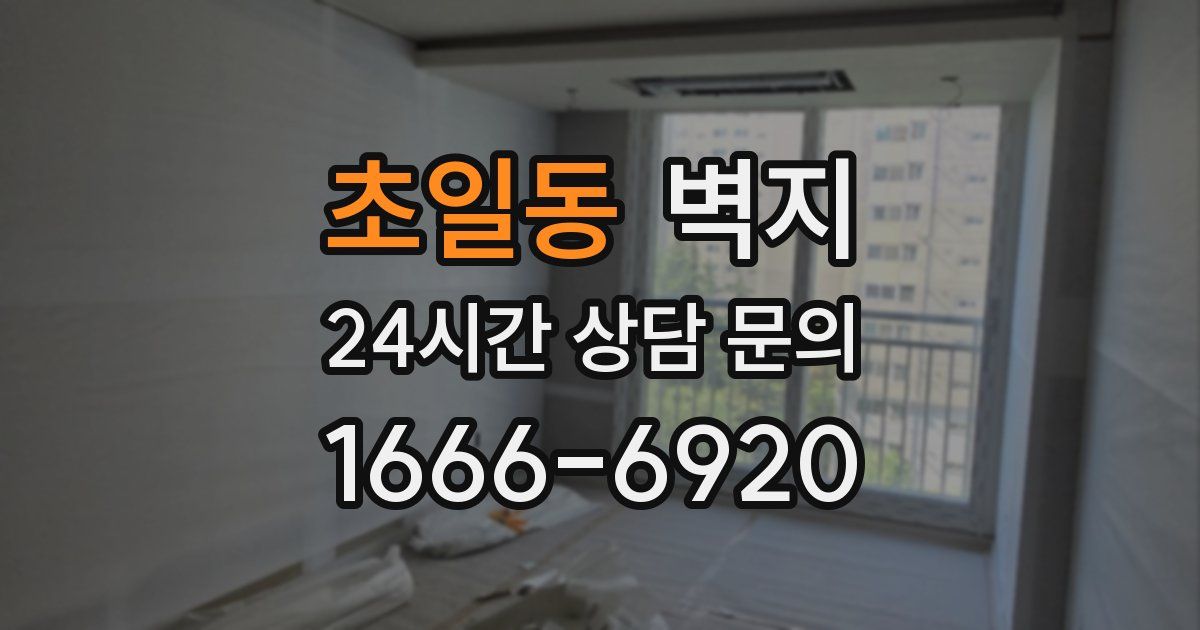 초일동 벽지