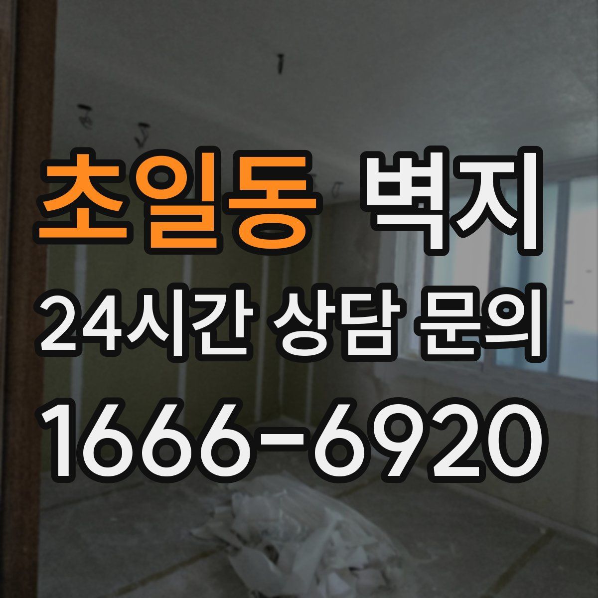 초일동 벽지