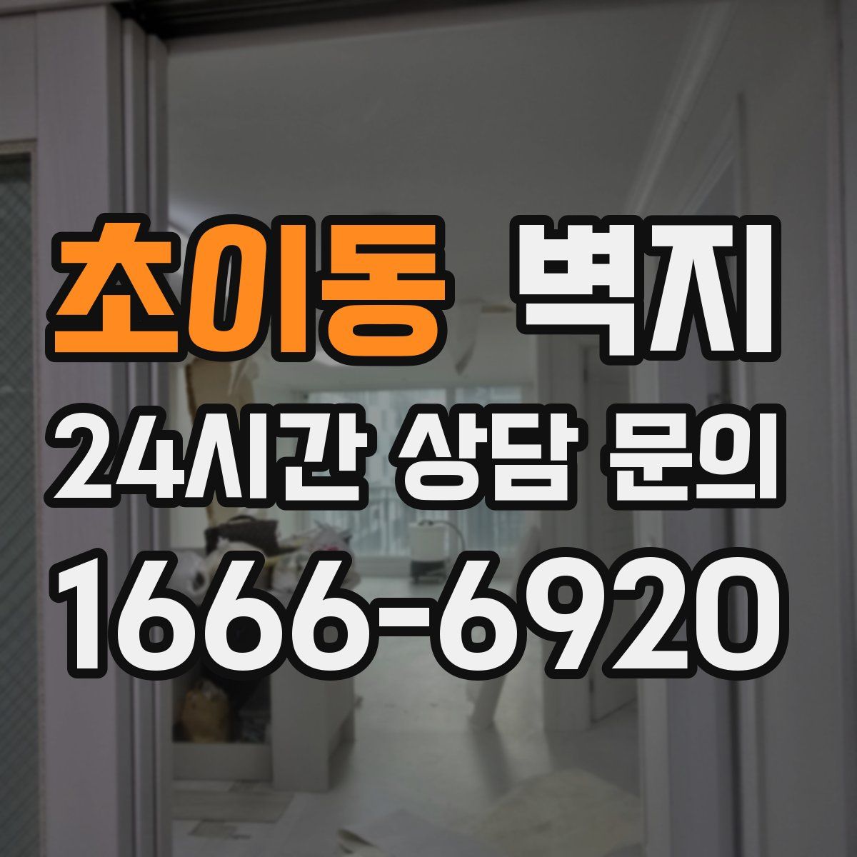 초이동 벽지