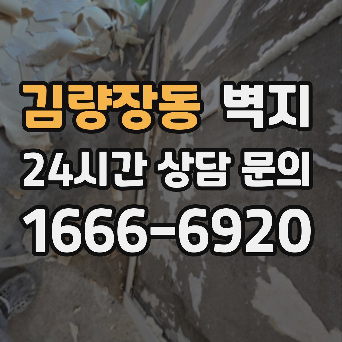 김량장동 벽지