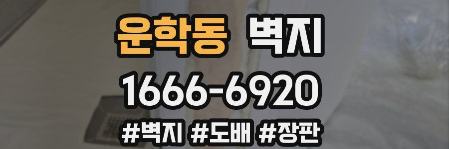 운학동 벽지