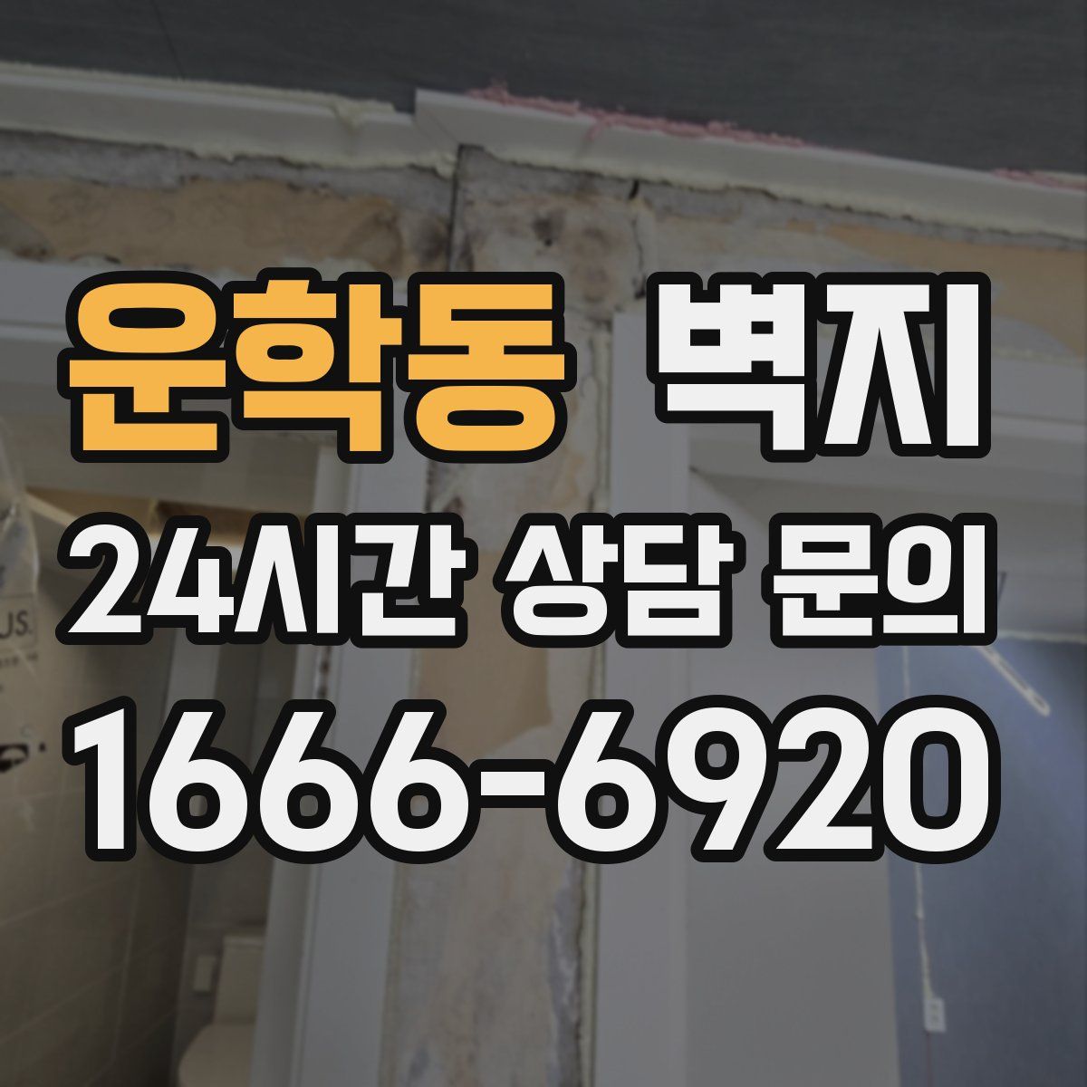 운학동 벽지