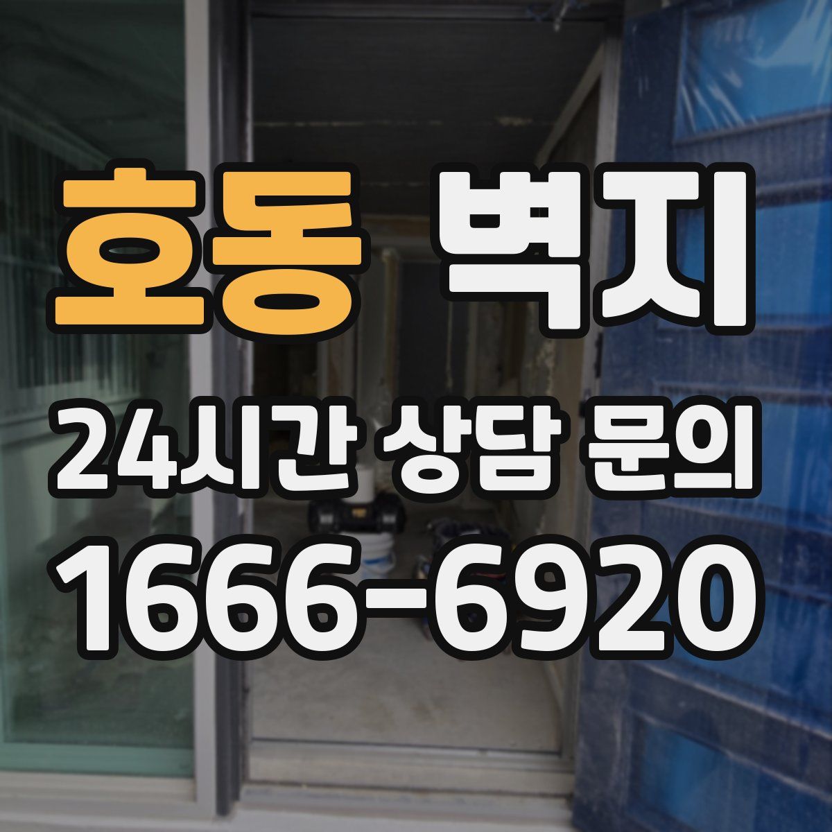 호동 벽지