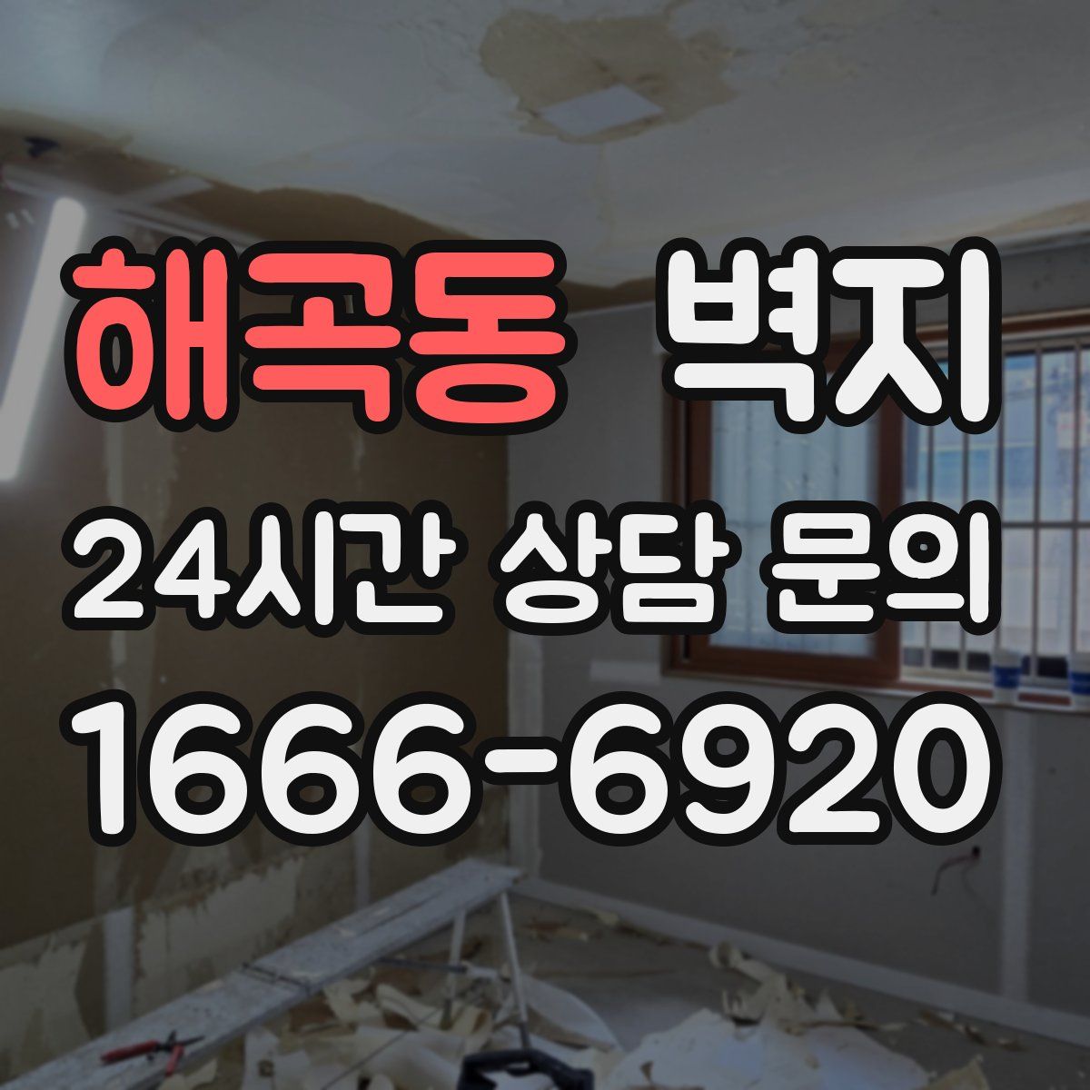 해곡동 벽지