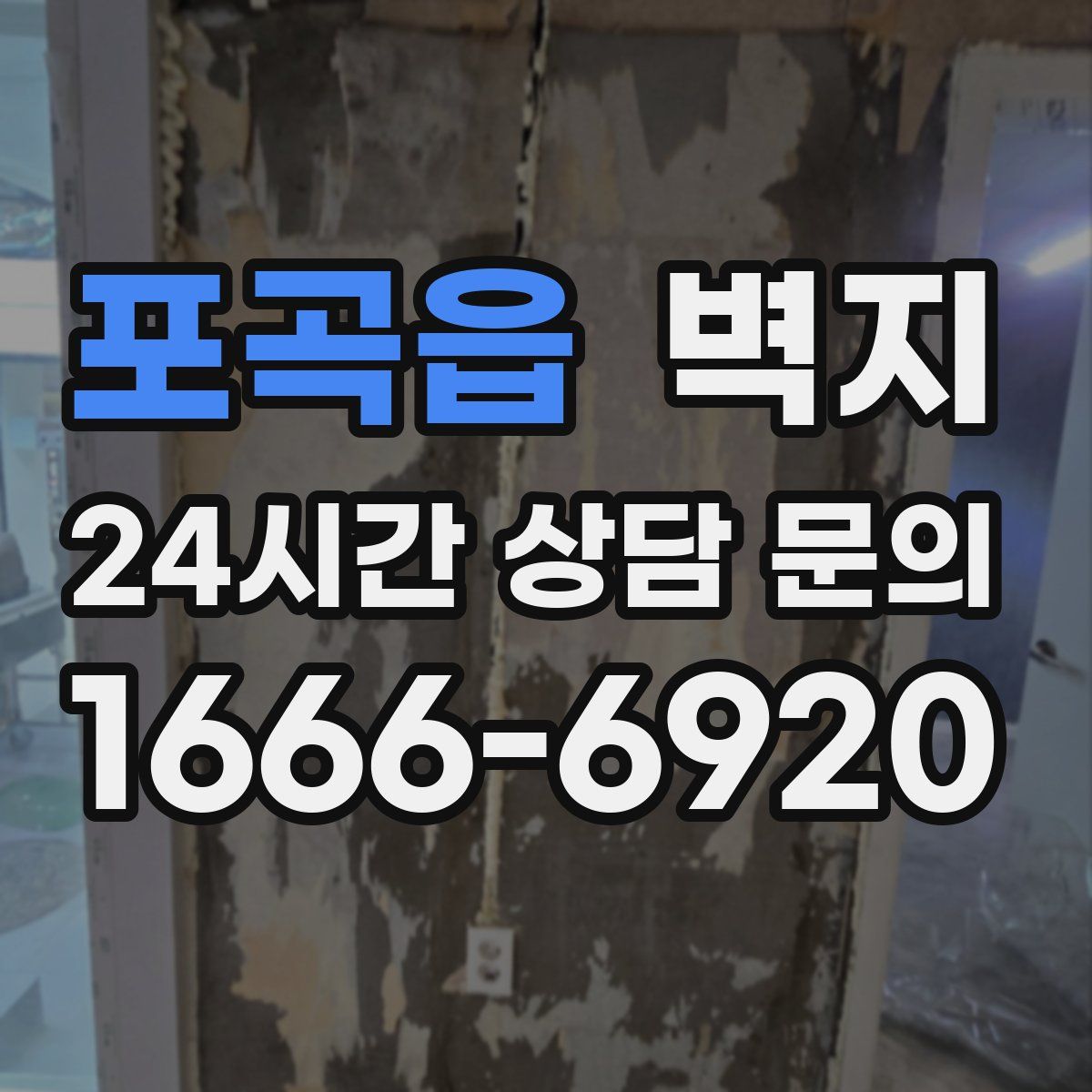 포곡읍 벽지