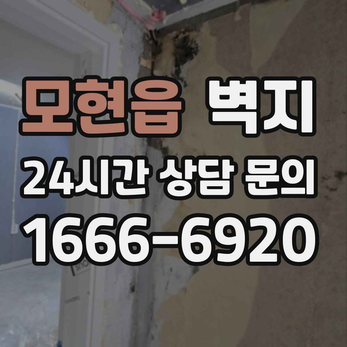 모현읍 벽지