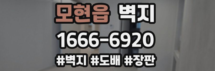 모현읍 벽지